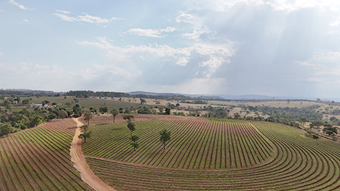 Field demonstration of NX612 guiding a tractor along straight rows