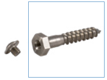 Close-up of threaded M8 wall screw made from corrosion-resistant steel